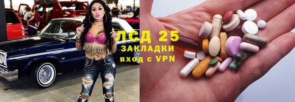 крисы Белокуриха