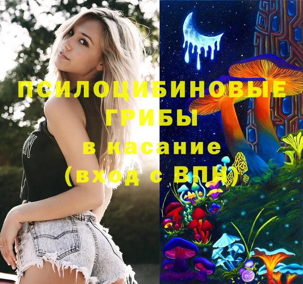 крисы Белокуриха