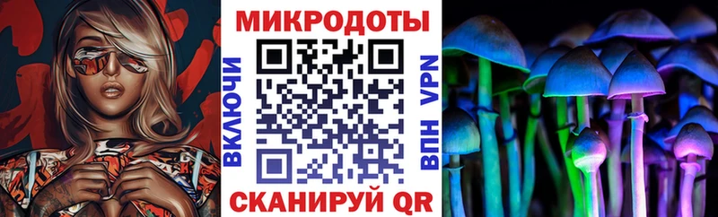Галлюциногенные грибы MAGIC MUSHROOMS  KRAKEN tor  Высоковск  цена наркотик 