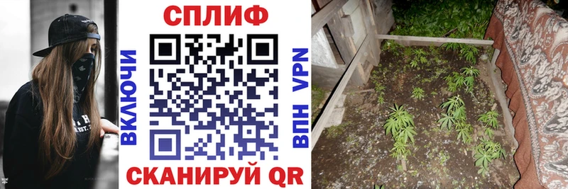 купить наркотик  МЕГА маркетплейс  Канабис Ganja  Высоковск 